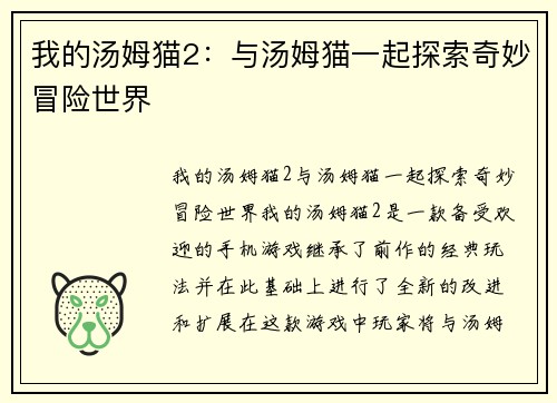 我的汤姆猫2：与汤姆猫一起探索奇妙冒险世界
